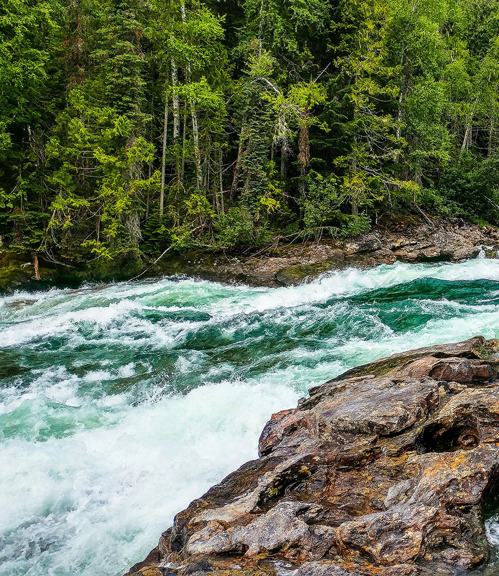 Breaking Free from the Mind: Why Movement Might Be the Missing Piece in Your Healing Journey