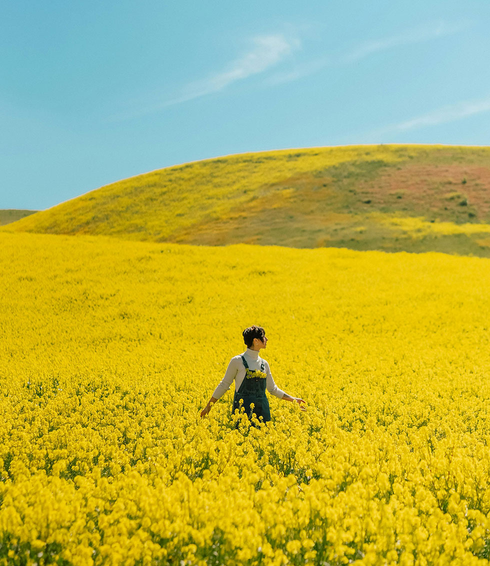 Embracing healing and growth: a journey to becoming your best self
