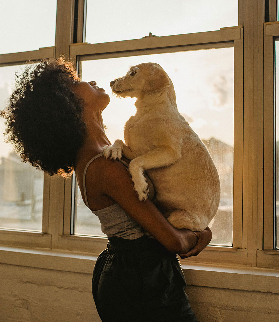 Harnessing the Power of Manifestation: Turning Dreams into Reality