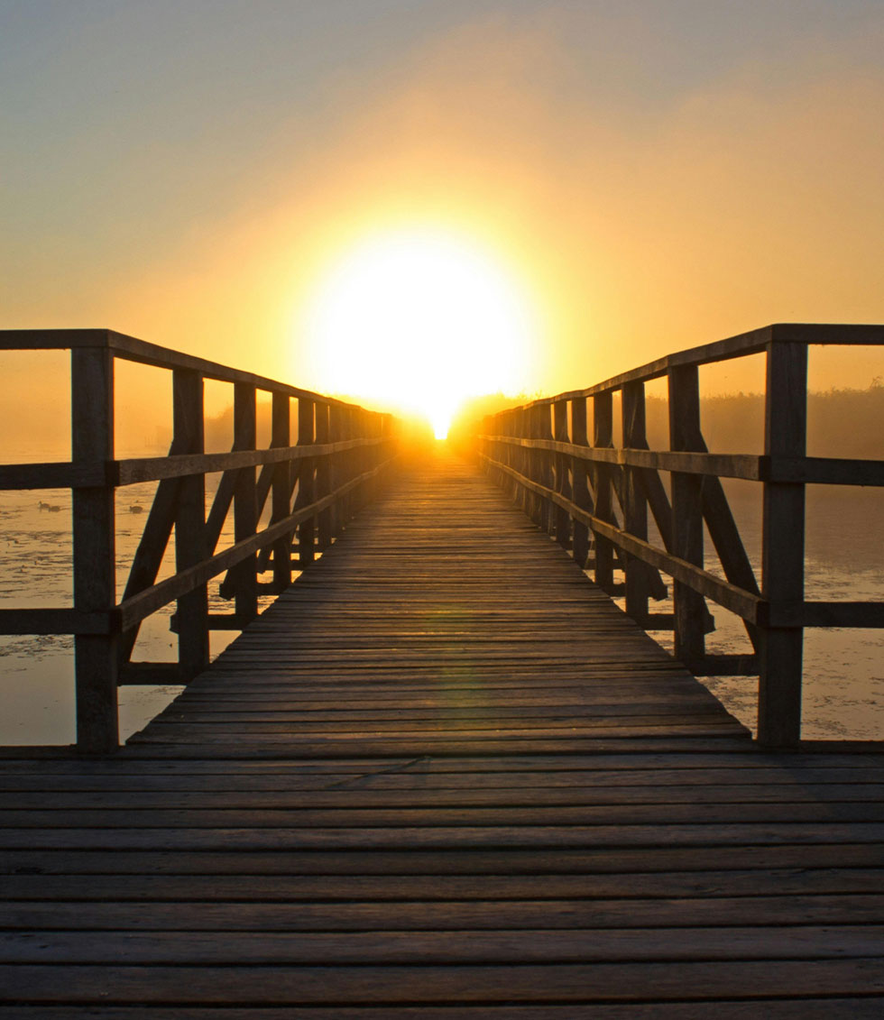 The Power of Energy: Unlocking the Benefits of Mindful Awareness